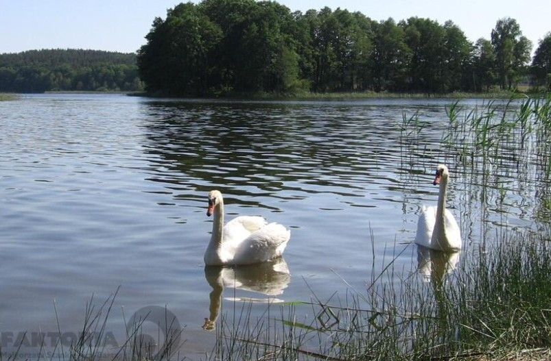 Działka Sprzedaż Zabierzewo