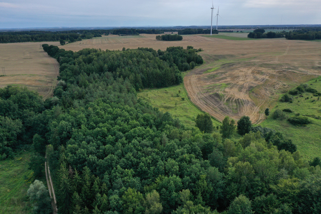 Działka Sprzedaż Prusinowo