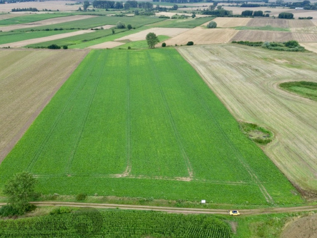 Działka Sprzedaż Bielice