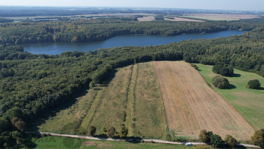 Działka Sprzedaż Dargocice