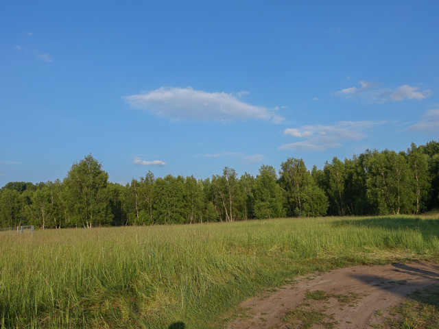 Działka Sprzedaż Grzepnica