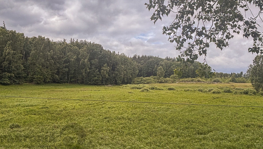 Działka Sprzedaż Piaseczno
