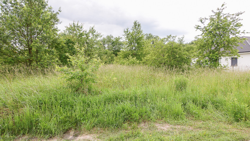 Działka Sprzedaż Dobra