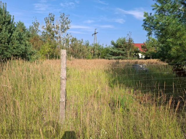 Działka Sprzedaż Łęgi