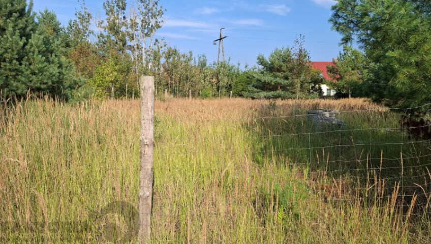 Działka Sprzedaż Łęgi