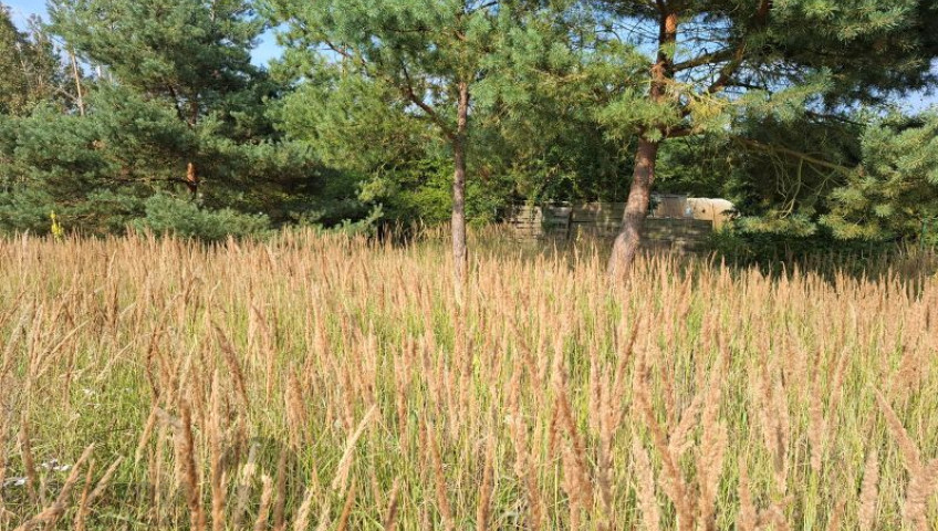 Działka Sprzedaż Łęgi