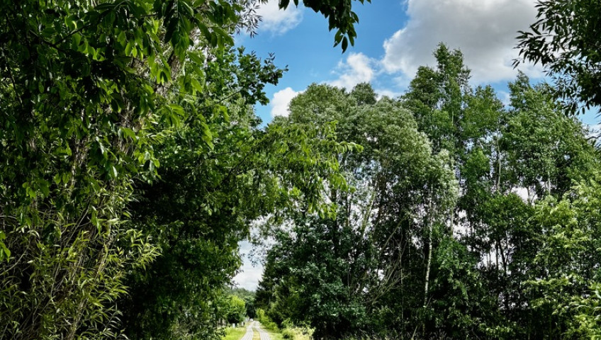 Działka Sprzedaż Goleniów