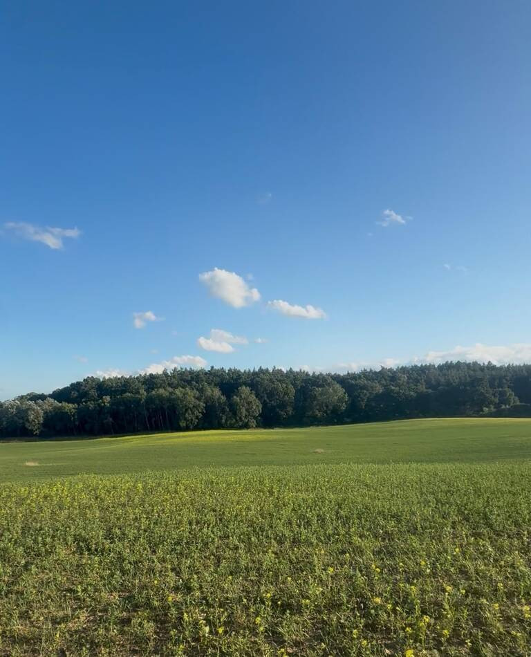 Działka Sprzedaż Buk