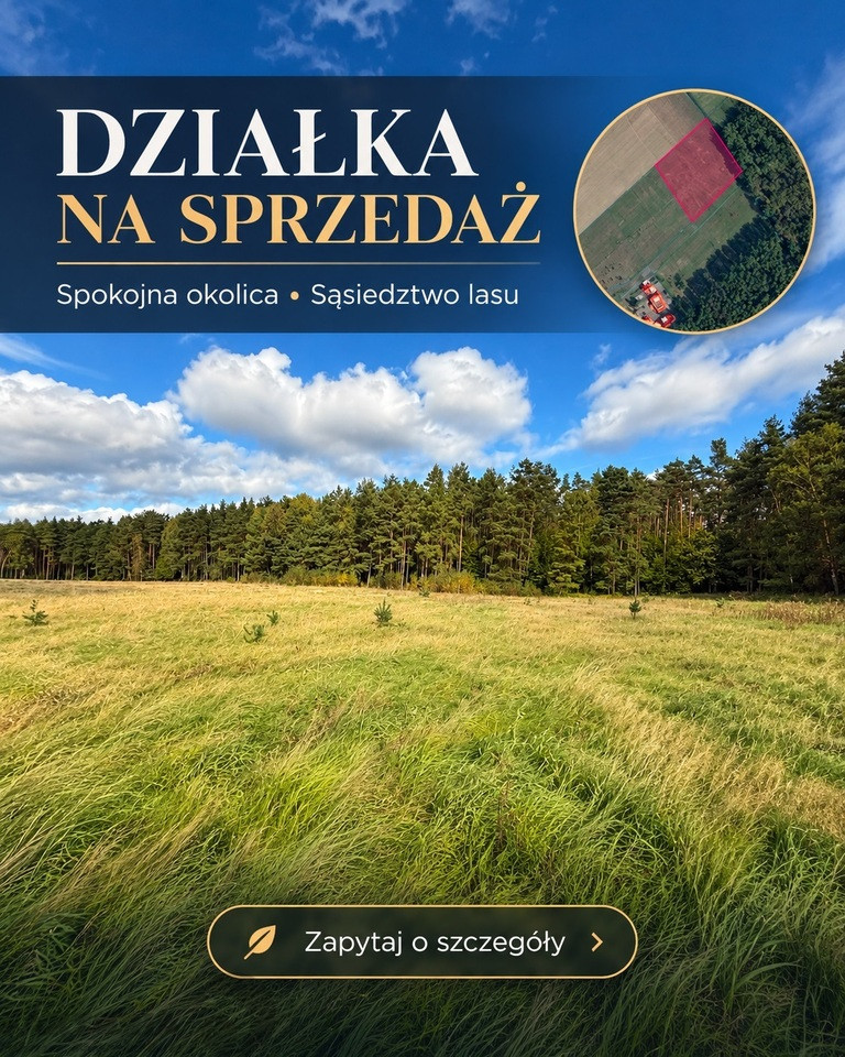 Działka Sprzedaż Drzewica