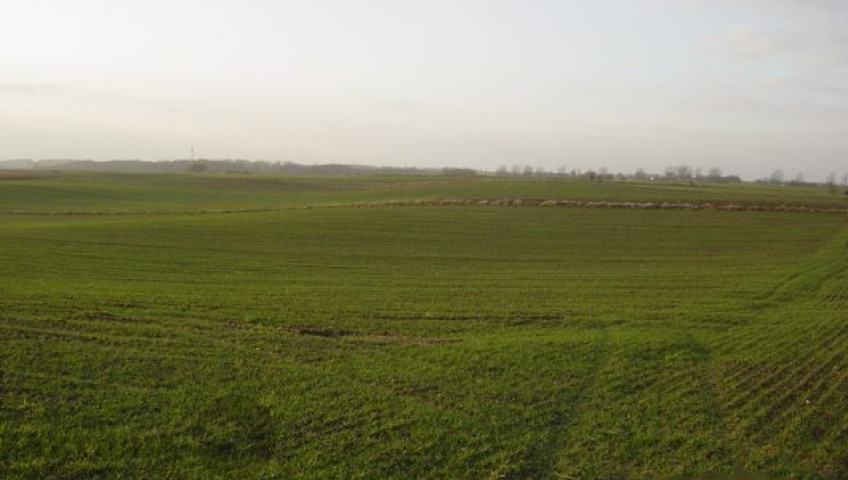 Działka Sprzedaż Siadło Górne