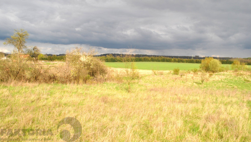 Działka Sprzedaż Binowo