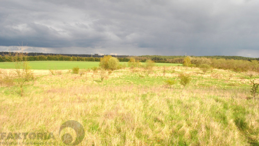 Działka Sprzedaż Binowo
