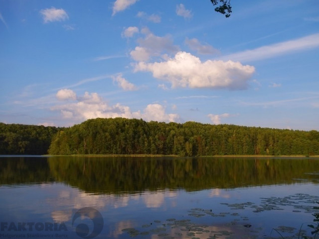 Działka Sprzedaż Komorze