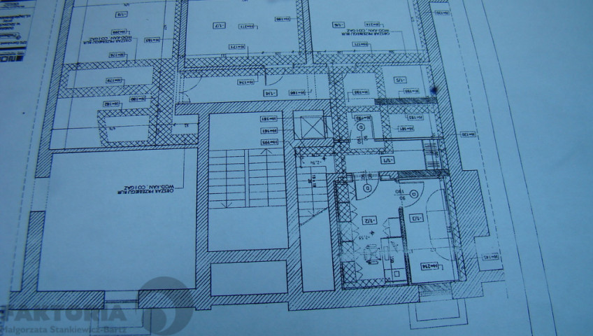 Lokal Wynajem Szczecin Śródmieście-Centrum