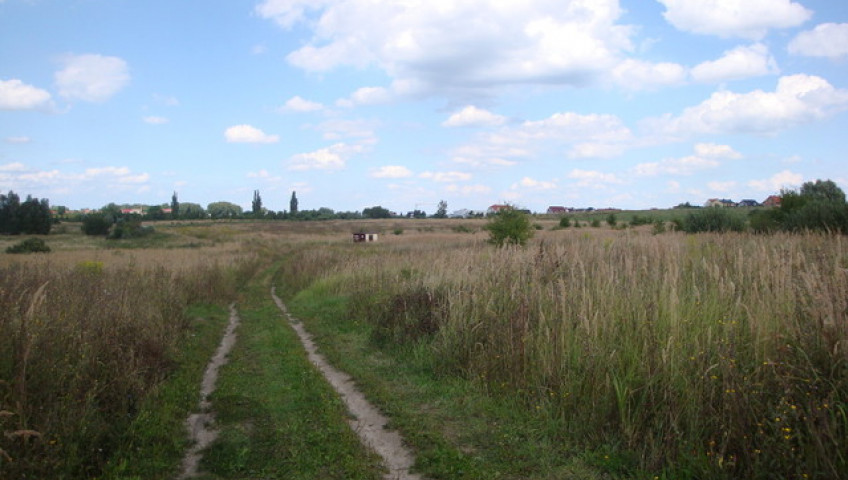 Działka Sprzedaż Mierzyn