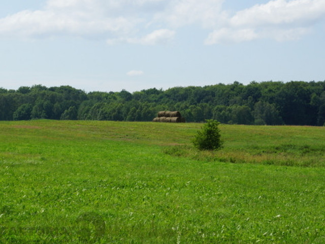 Działka Sprzedaż Bobolice