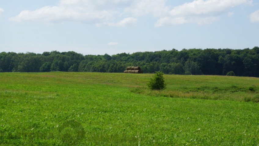 Działka Sprzedaż Bobolice