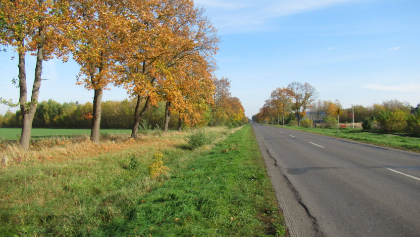 Działka Sprzedaż Kobylanka