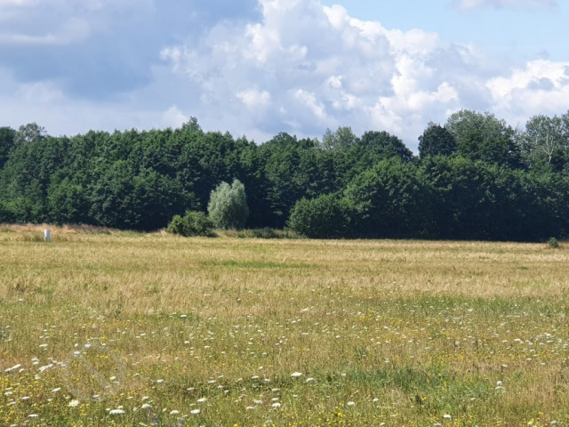 Działka Sprzedaż Szczecin Skolwin