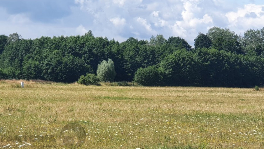 Działka Sprzedaż Szczecin Skolwin