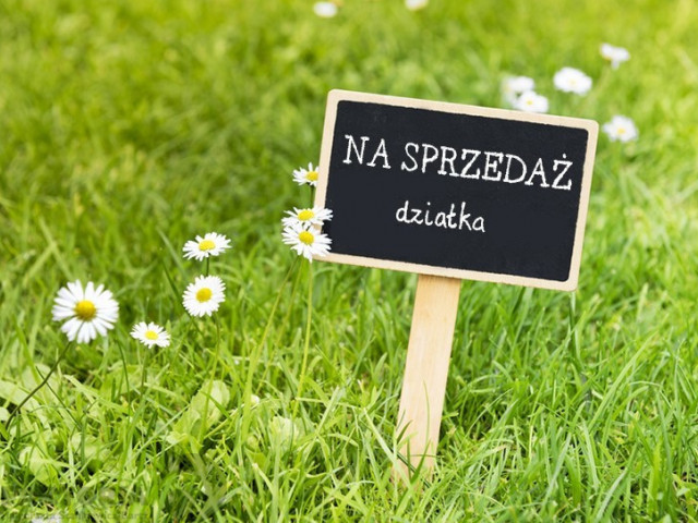 Działka Sprzedaż Wołczkowo