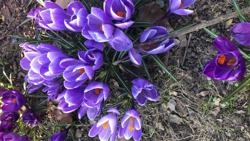 Działka Sprzedaż Szczecin Bezrzecze