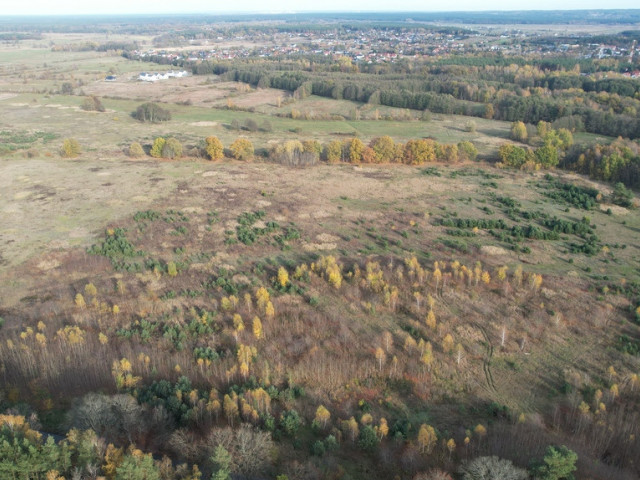 Działka Sprzedaż Buk