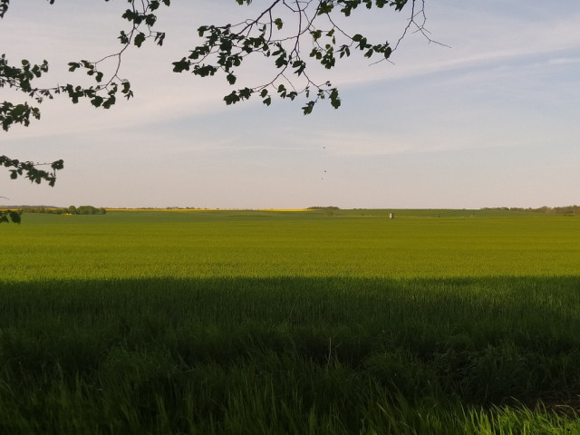 Działka Sprzedaż Bielkowo Sadowa