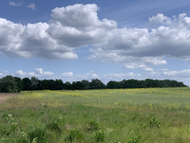 Działka Sprzedaż Stobno