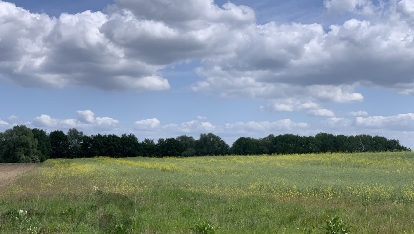 Działka Sprzedaż Stobno