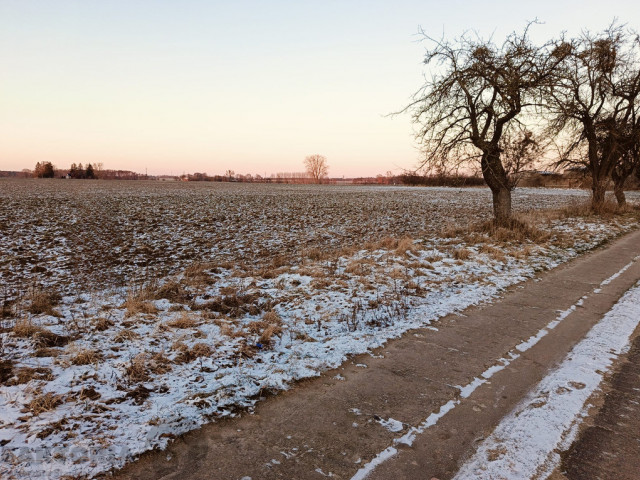 Działka Sprzedaż Żabówko