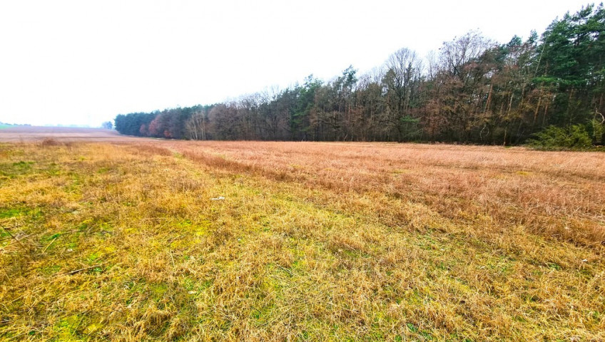 Działka Sprzedaż Żarowo Polna