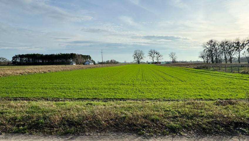 Działka Sprzedaż Borzysławiec