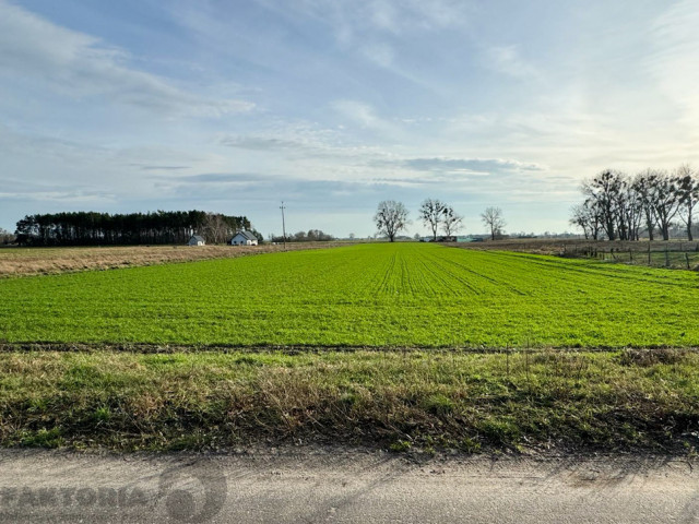 Działka Sprzedaż Borzysławiec