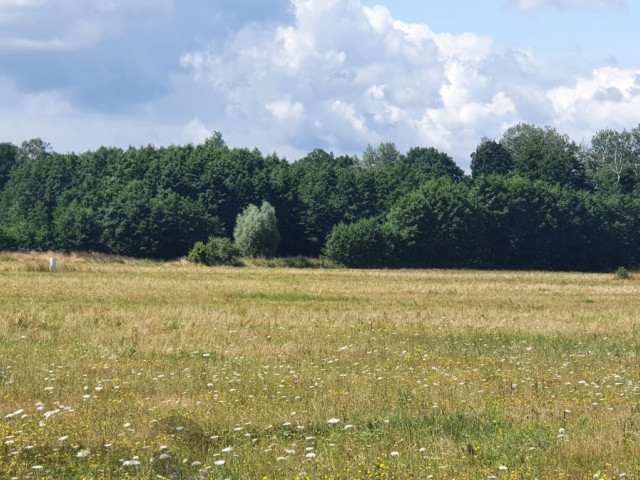 Działka Sprzedaż Gardno