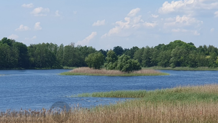 Działka Sprzedaż Zieleniewo