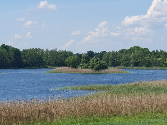 Działka Sprzedaż Zieleniewo