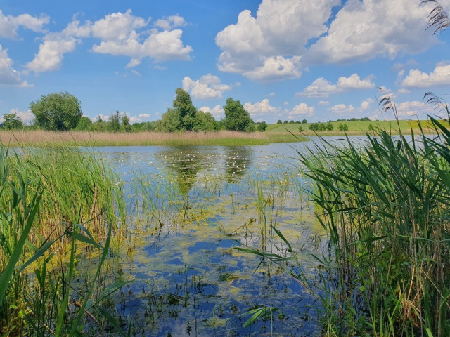 Działka Sprzedaż Zieleniewo