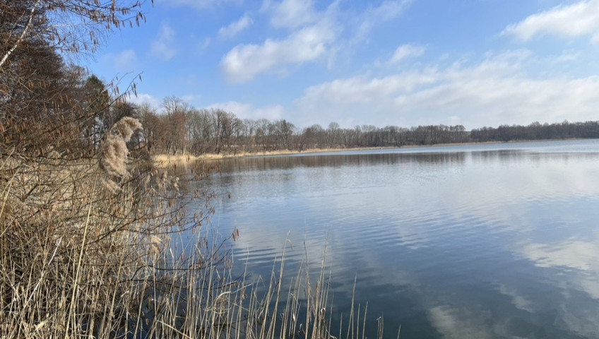 Działka Sprzedaż Choszczno