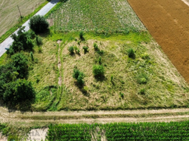 Działka Sprzedaż Nieborowo