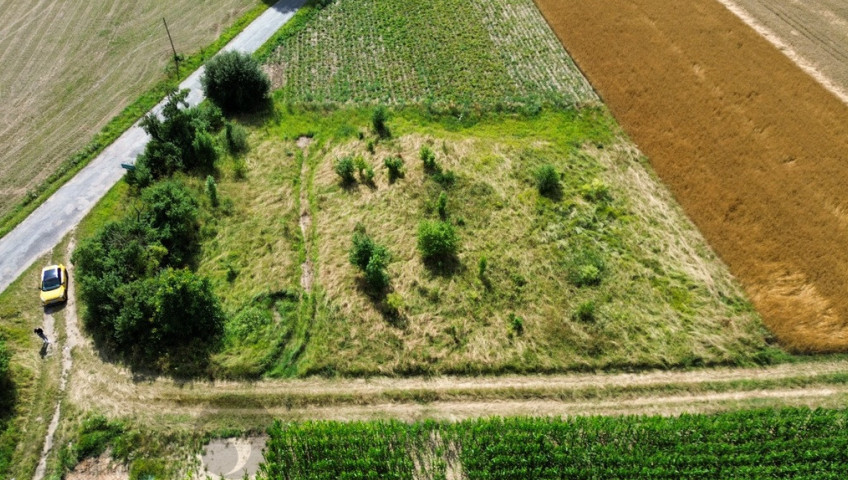 Działka Sprzedaż Nieborowo