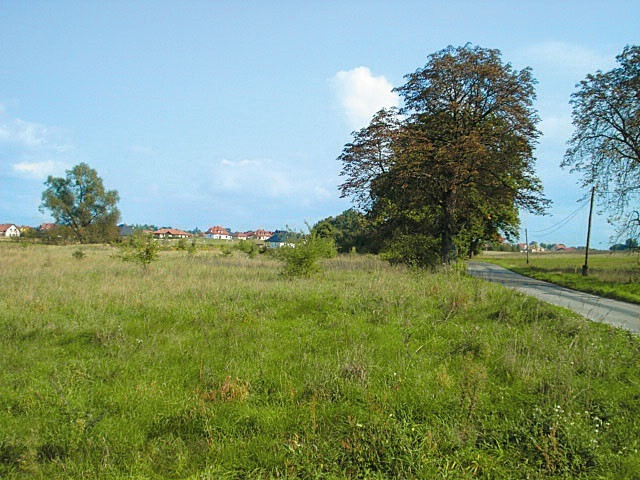Działka Sprzedaż Kościno