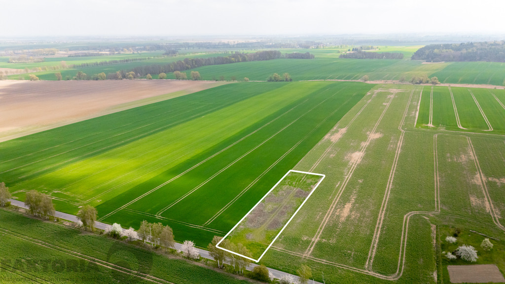 Działka Sprzedaż Pyrzyce