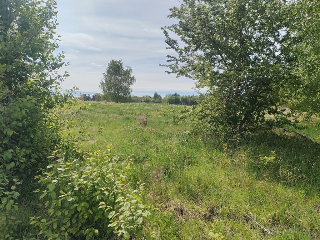 Działka Sprzedaż Lędzin