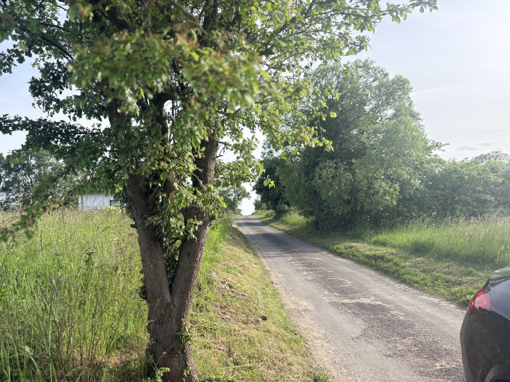 Działka Sprzedaż Przęsocin