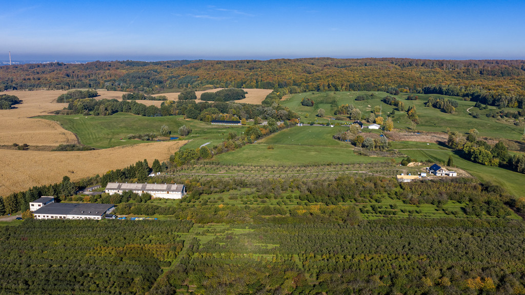Dom Sprzedaż Binowo