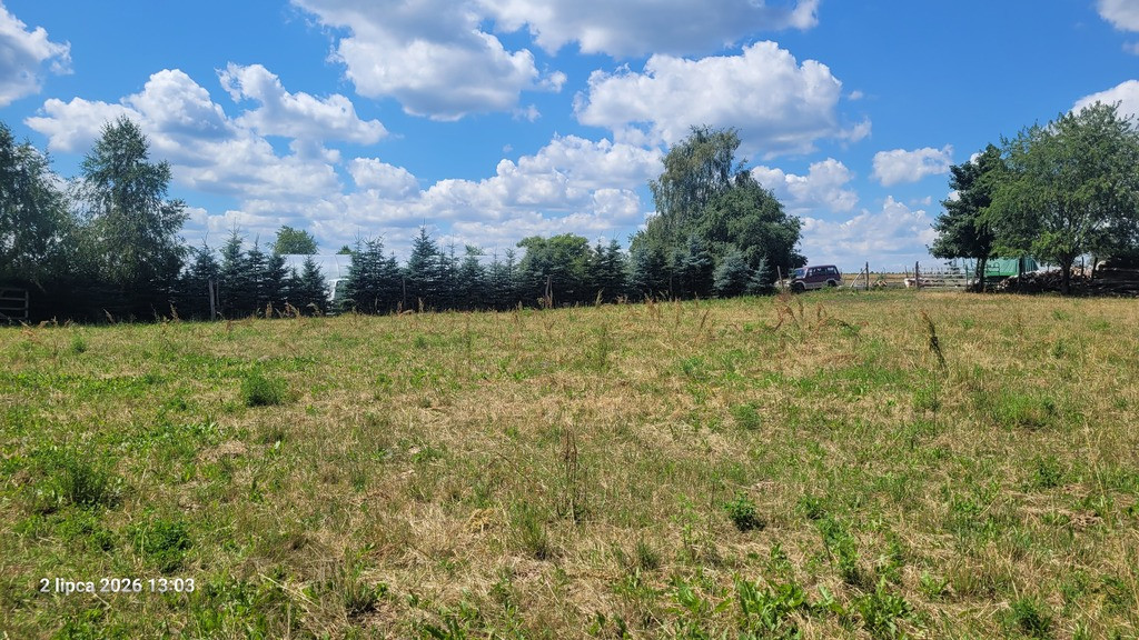 Działka Sprzedaż Wiśniewo