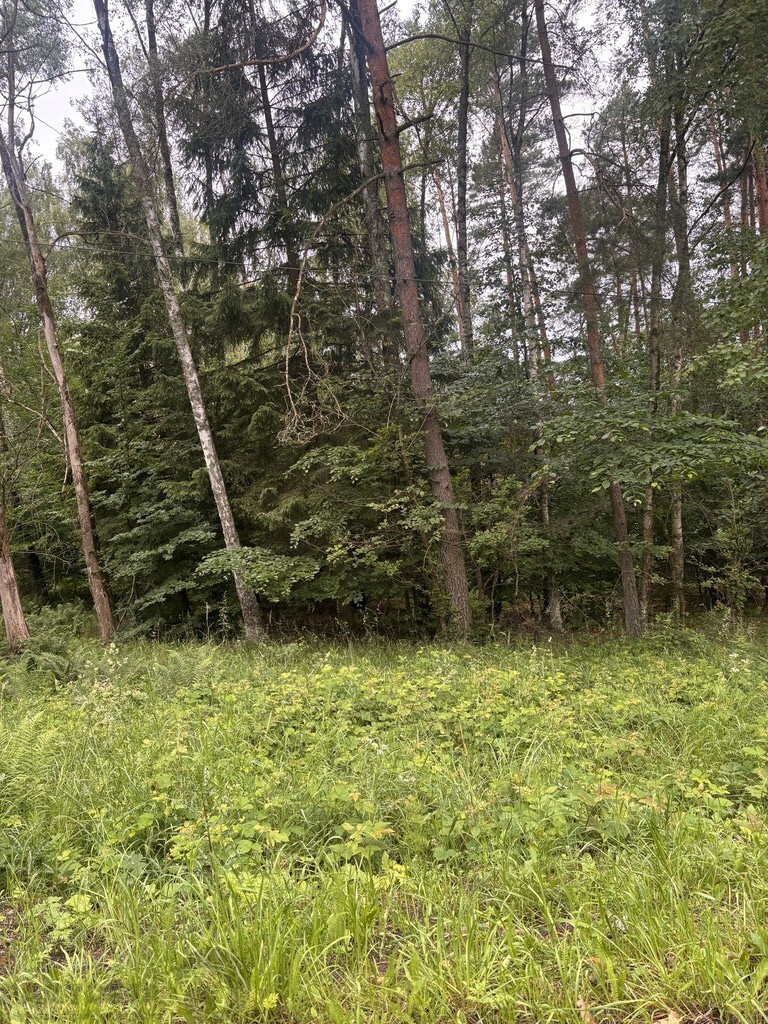 Działka Sprzedaż Piaseczno