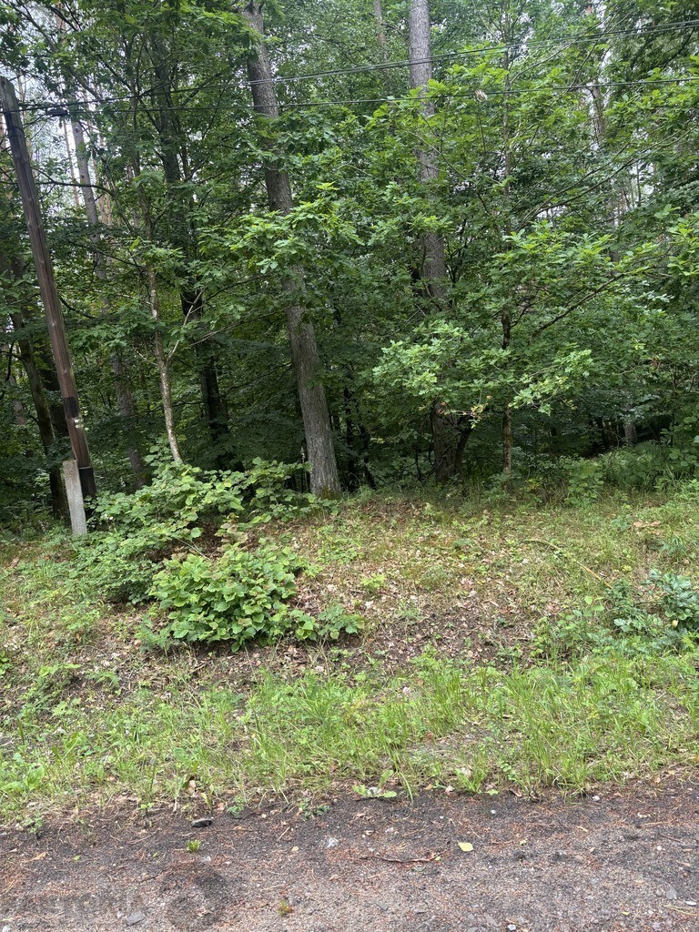 Działka Sprzedaż Piaseczno