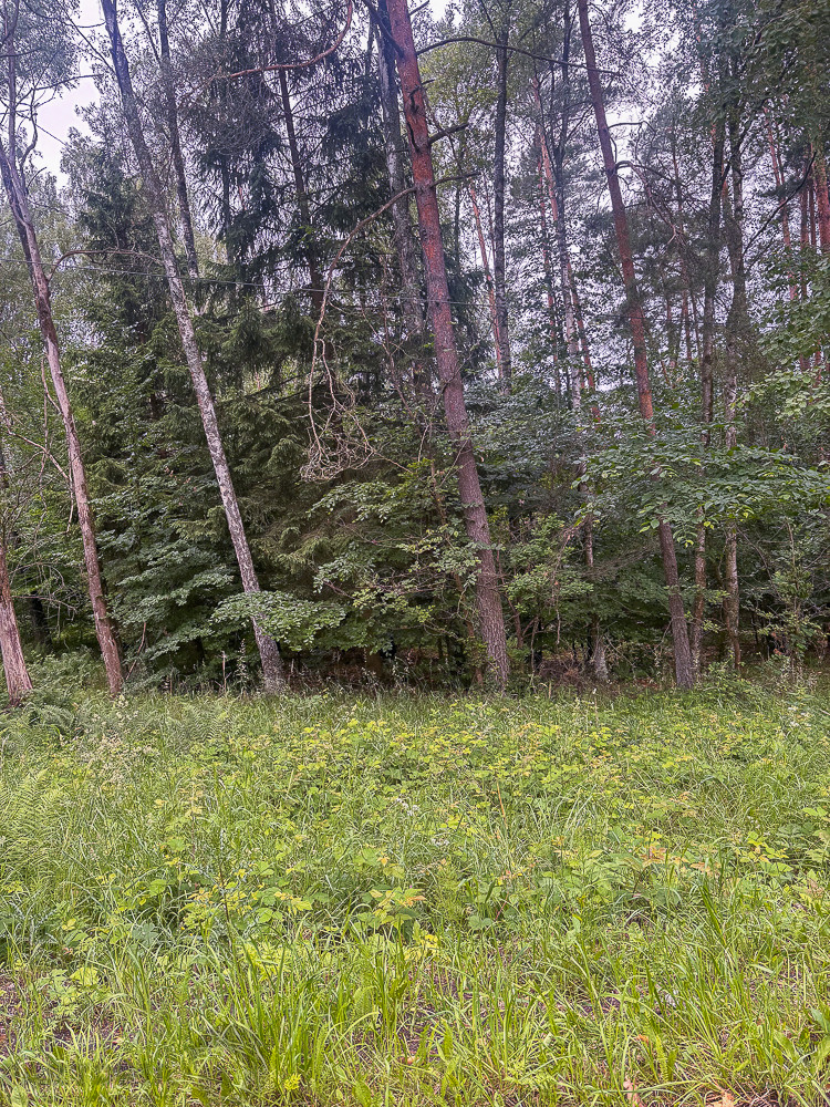 Działka Sprzedaż Piaseczno